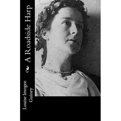 A Roadside Harp - Paperback