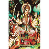 Durga Puja Beginner - Paperback