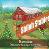 Barnabas: Discovers the Joy of Christmas - Paperback