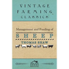 Management and Feeding of Sheep - Paperback