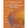 Acupuncture and the Chakra Energy System: Treating the Cause of Disease - Paperback