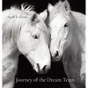 Journey of the Dream Team - Hardcover