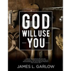 God Will Use You: John Wesley's Understanding of the Laity as Demonstrated by His Use of Lay Preachers - Paperback