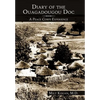 Diary of the Ouagadougou Doc: A Peace Corps Experience - Hardcover