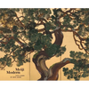 Meiji Modern: Fifty Years of New Japan - Hardcover
