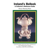 Ireland's Belleek: A Collector's Reference Guide - Paperback