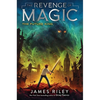 The Future King - Hardcover