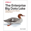 The Enterprise Big Data Lake: Delivering the Promise of Big Data and Data Science - Paperback