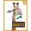 Giraffe - Paperback