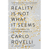 Reality Is Not What It Seems: The Journey to Quantum Gravity - Paperback