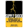 Supply Shock: Economic Growth at the Crossroads and the Steady State Solution - Paperback