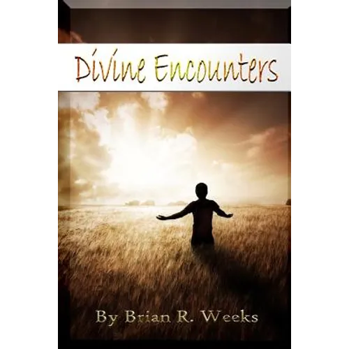 Divine Encounters - Paperback