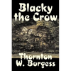 Blacky the Crow by Thornton Burgess, Fiction, Animals, Fantasy & Magic - Hardcover