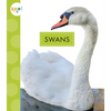 Swans - Paperback