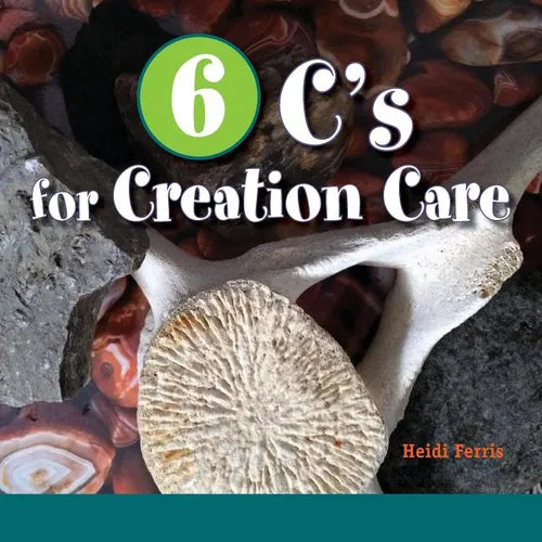 6 C's for Creation Care: Creation, Christ, Creativity, Combustion, Climate, Connect - Paperback