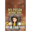 My Prison Without Bars: The Journey of a Damaged Woman to Someplace Normal - Paperback