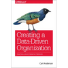 Creating a Data-Driven Organization: Practical Advice from the Trenches - Paperback