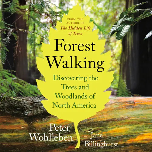Forest Walking: Discovering the Trees and Woodlands of North America - Paperback