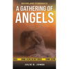 Moorland Forensics - A Gathering of Angels - Paperback