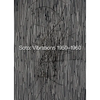 Soto: Vibrations 1950-1960 - Paperback