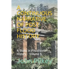 A Continuous Narrative of Post-Flood History: A Study in Postdiluvian History - Paperback