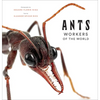 Ants: Workers of the World - Hardcover