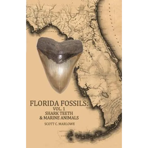 Florida Fossils: Shark Teeth & Marine Animals - Paperback