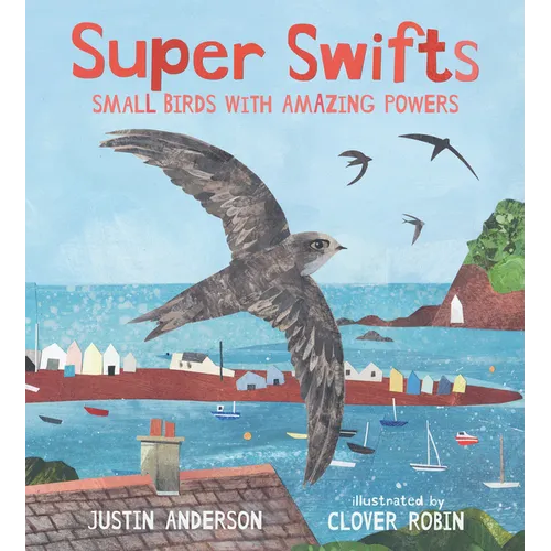 Super Swifts: Small Birds with Amazing Powers - Hardcover