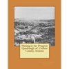 Mining in the Dragoon Quadrangle of Cochise County, Arizona - Paperback