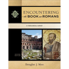 Encountering the Book of Romans: A Theological Survey - Paperback