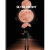 Silver Destiny: From Chaos Begotten - Paperback