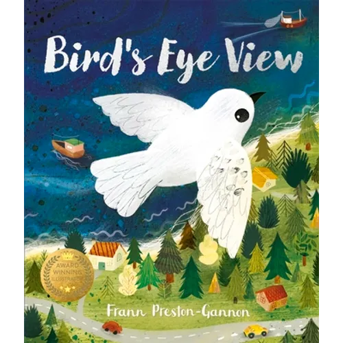 Bird's Eye View - Paperback