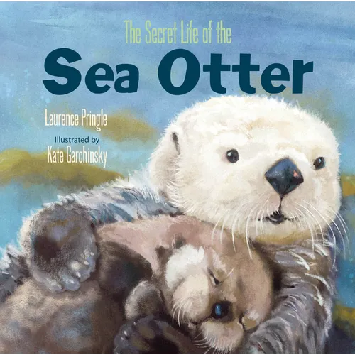The Secret Life of the Sea Otter - Hardcover