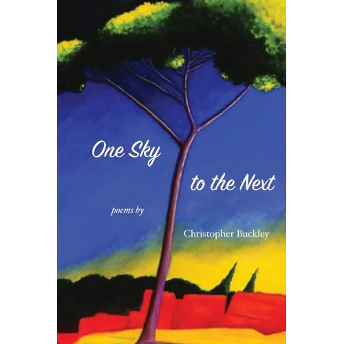 One Sky to the Next - Paperback