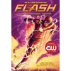 The Flash: The Tornado Twins - Paperback