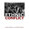 Ethnic Conflict: Causes, Consequences, and Responses - Hardcover