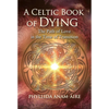 A Celtic Book of Dying: The Path of Love in the Time of Transition - Paperback