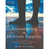Study Guide: ENCOUNTERING THE HEAVENLY SAPPHIRE: Understanding Holy Fire - Paperback