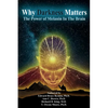 Why Darkness Matters - Paperback