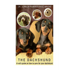 The Dachshund: A vet's guide on how to care for your Dachshund - Paperback