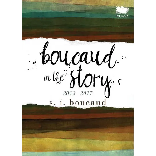 Boucaud in the Story: 2013-2017 - Paperback