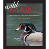 Wild Maine: Discoveries of a Wildlife Photographer - Paperback