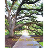 Sentimental Journey Home II (1938-1965): Okie Boy, Texas Aggie - Paperback