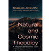 Natural and Cosmic Theodicy: A Trinitarian Panentheistic Vision - Paperback