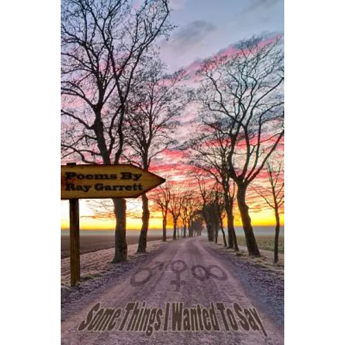 Some Things I Wanted to Say - Paperback