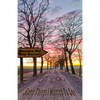 Some Things I Wanted to Say - Paperback