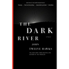 The Dark River: Book Two of the Fourth Realm Trilogy - Paperback