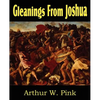 Gleanings from Joshua - Paperback