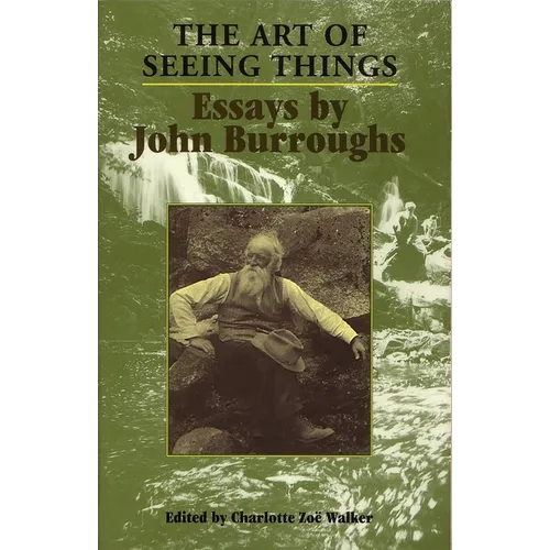 The Art of Seeing Things - Paperback