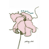 For the Flowers Never Watered - Hardcover